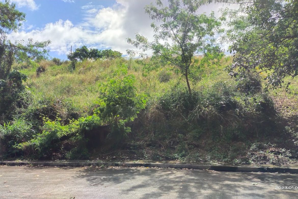 Land for Sale in San Juan, Antipolo, Rizal – photo 5