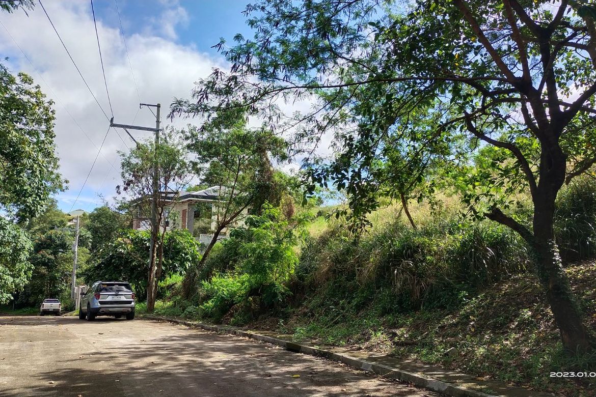 Land for Sale in San Juan, Antipolo, Rizal – photo 6