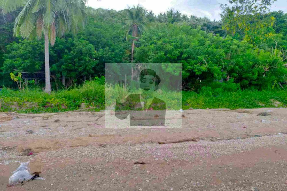 Land for Sale in San Juan, Batangas – photo 3