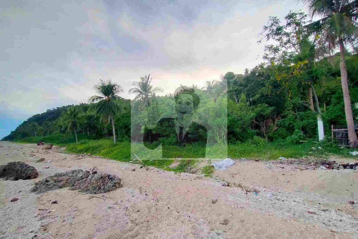 Land for Sale in San Juan, Batangas – photo 6