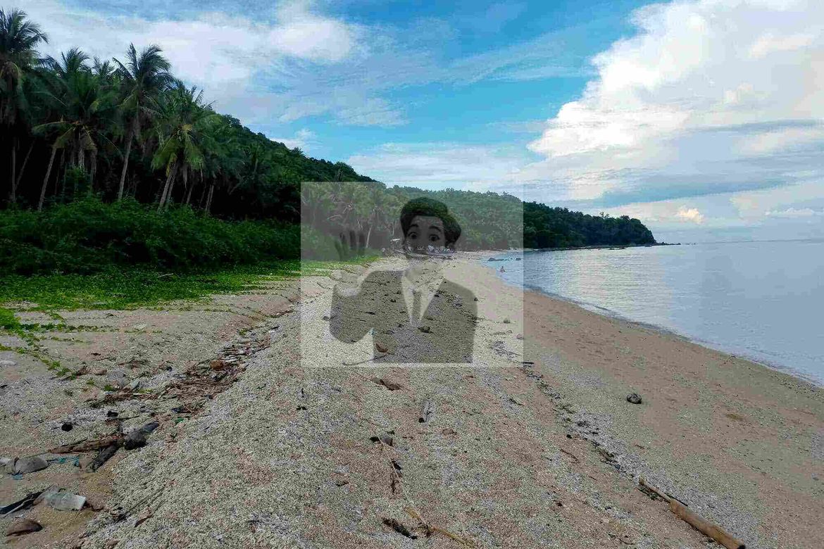 Land for Sale in San Juan, Batangas – photo 8