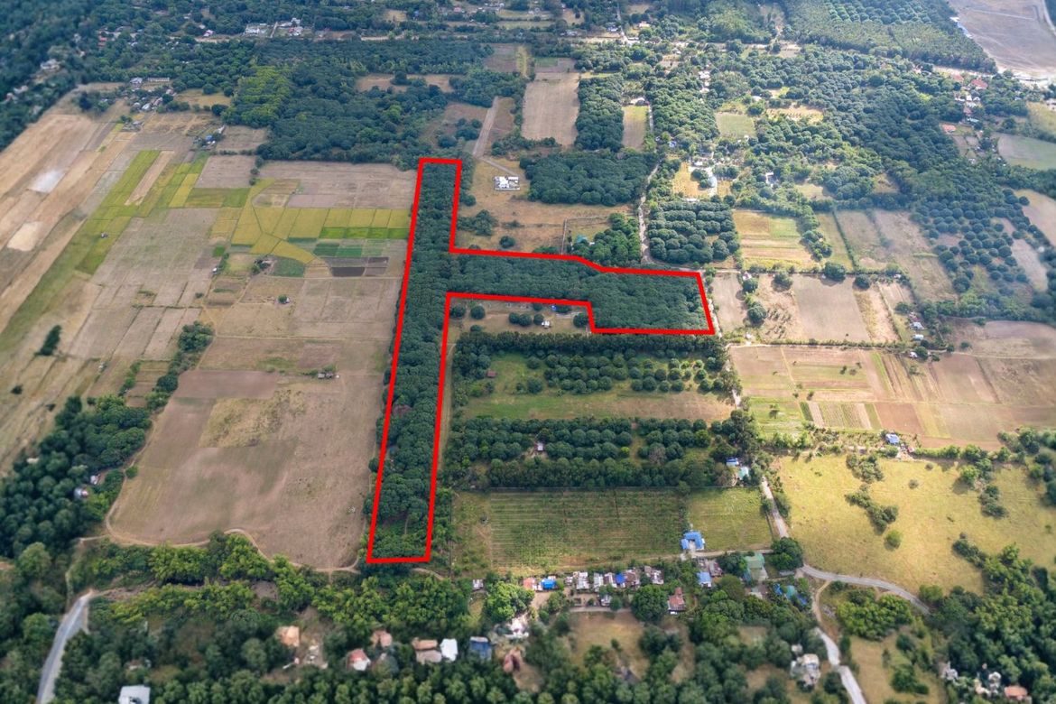 Land for Sale in San Juan, Botolan, Zambales – photo 2