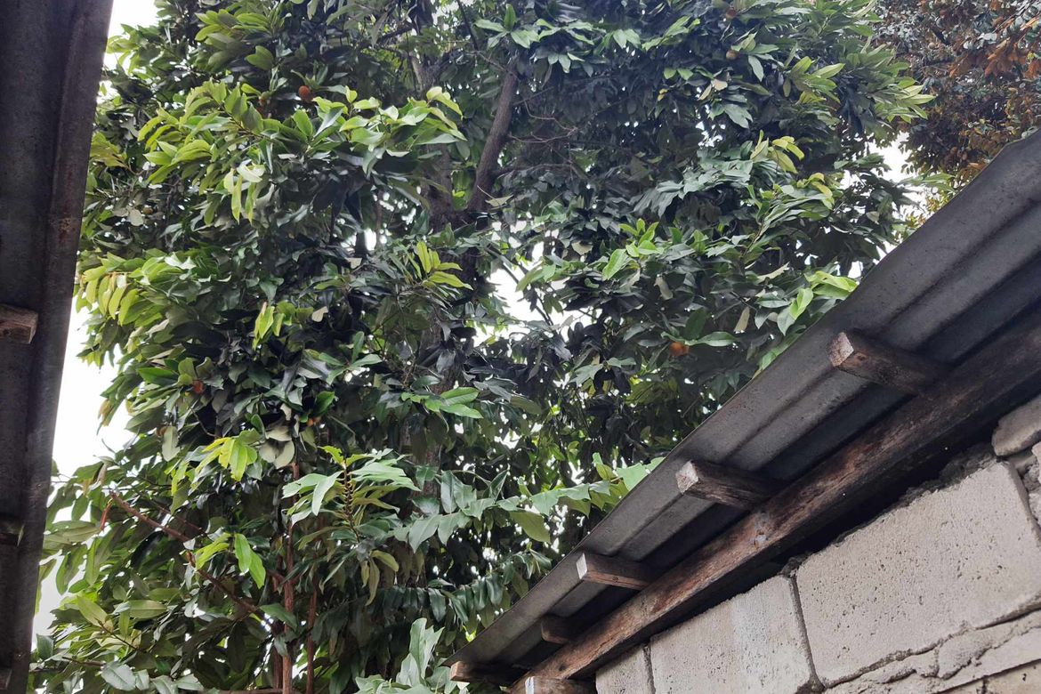 Land for Sale in San Juan I, General Trias, Cavite – photo 2