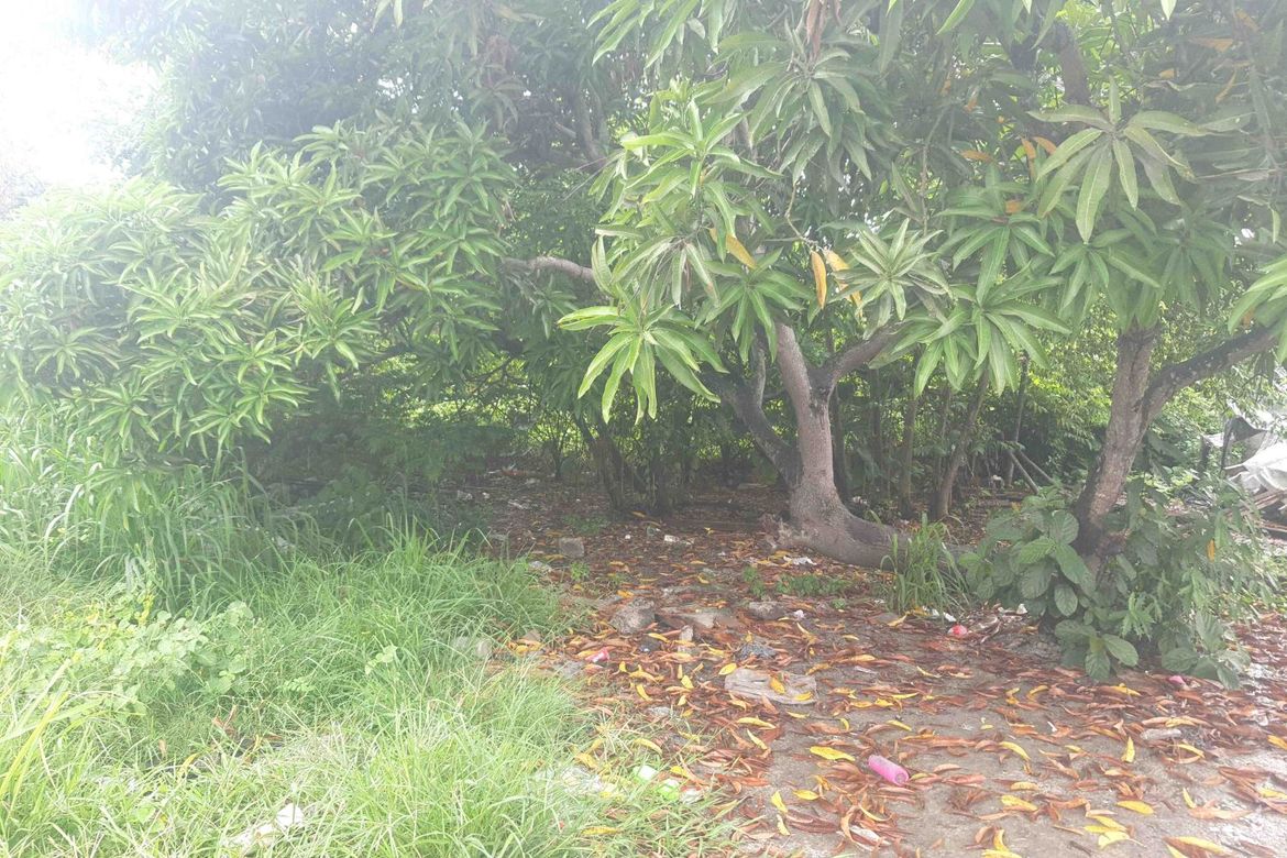 Land for Sale in San Juan I, General Trias, Cavite