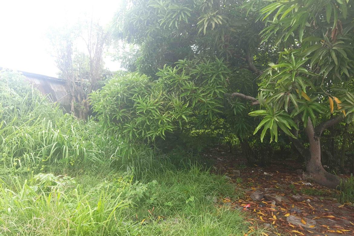 Land for Sale in San Juan I, General Trias, Cavite – photo 2