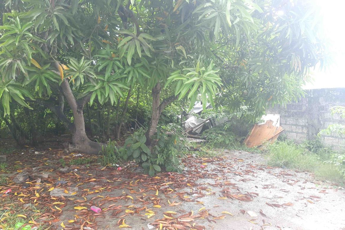 Land for Sale in San Juan I, General Trias, Cavite – photo 4