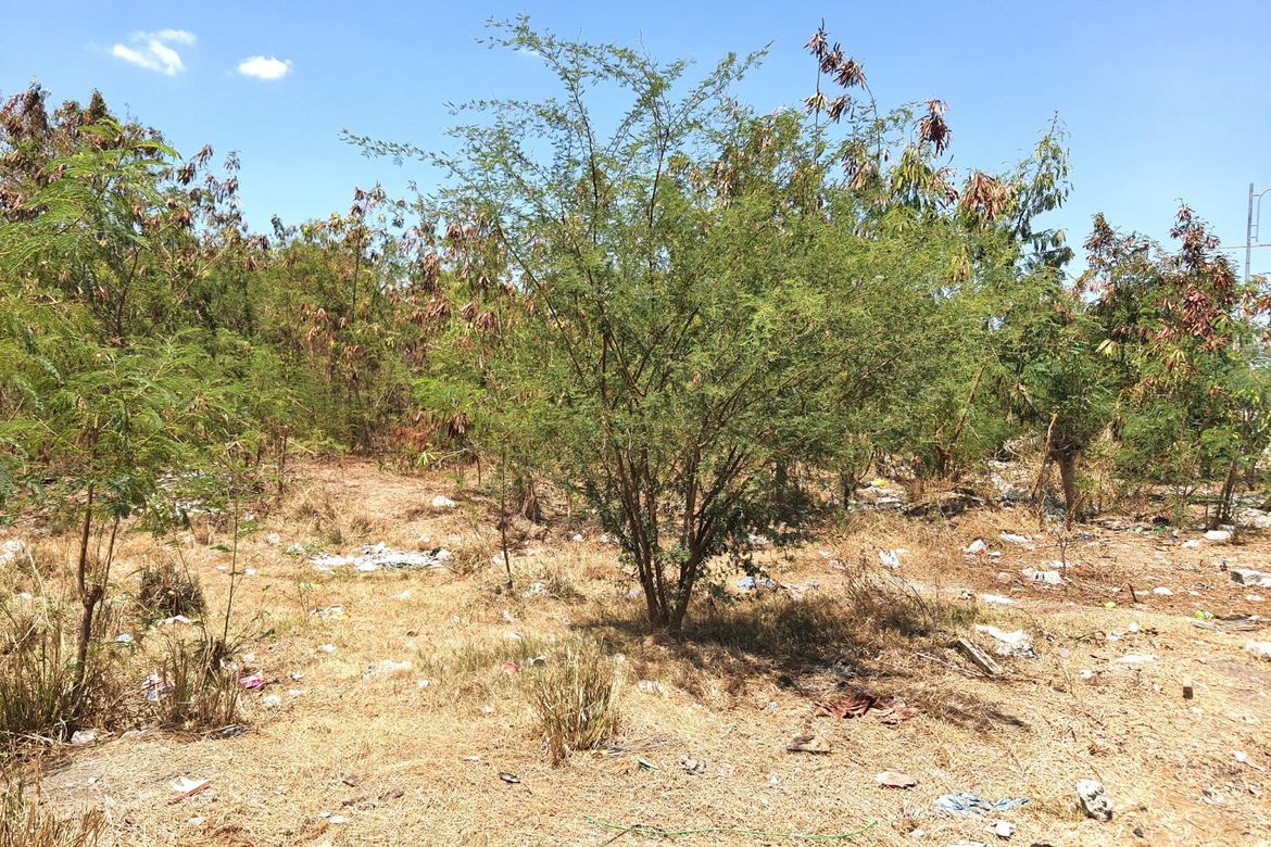 Land for Sale in San Juan I, General Trias, Cavite – photo 2
