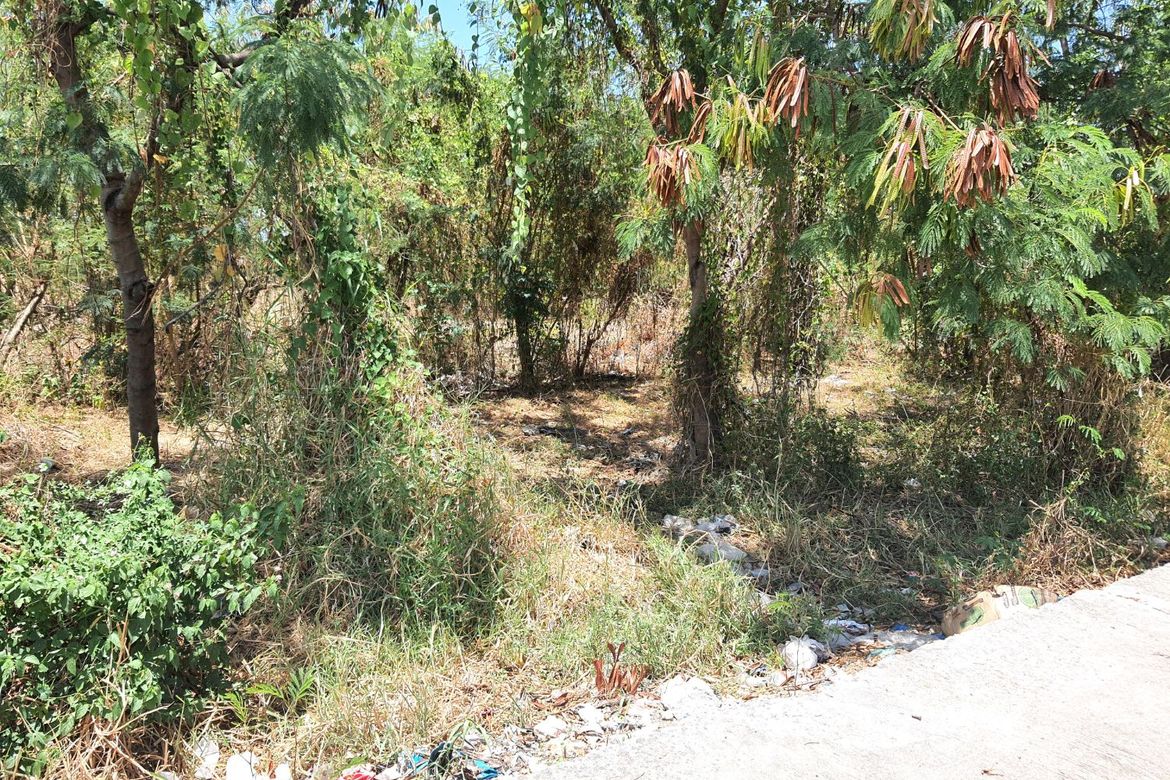 Land for Sale in San Juan I, General Trias, Cavite – photo 4