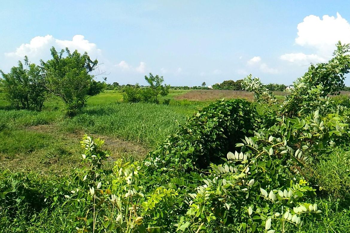Land for Sale in San Juan I, General Trias, Cavite – photo 3