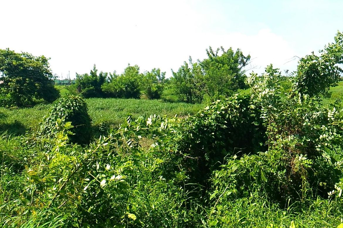 Land for Sale in San Juan I, General Trias, Cavite – photo 4