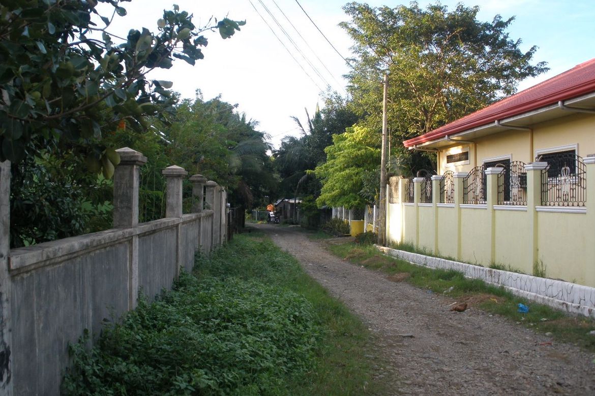 Land for Sale in San Juan, San Miguel, Bulacan – photo 4