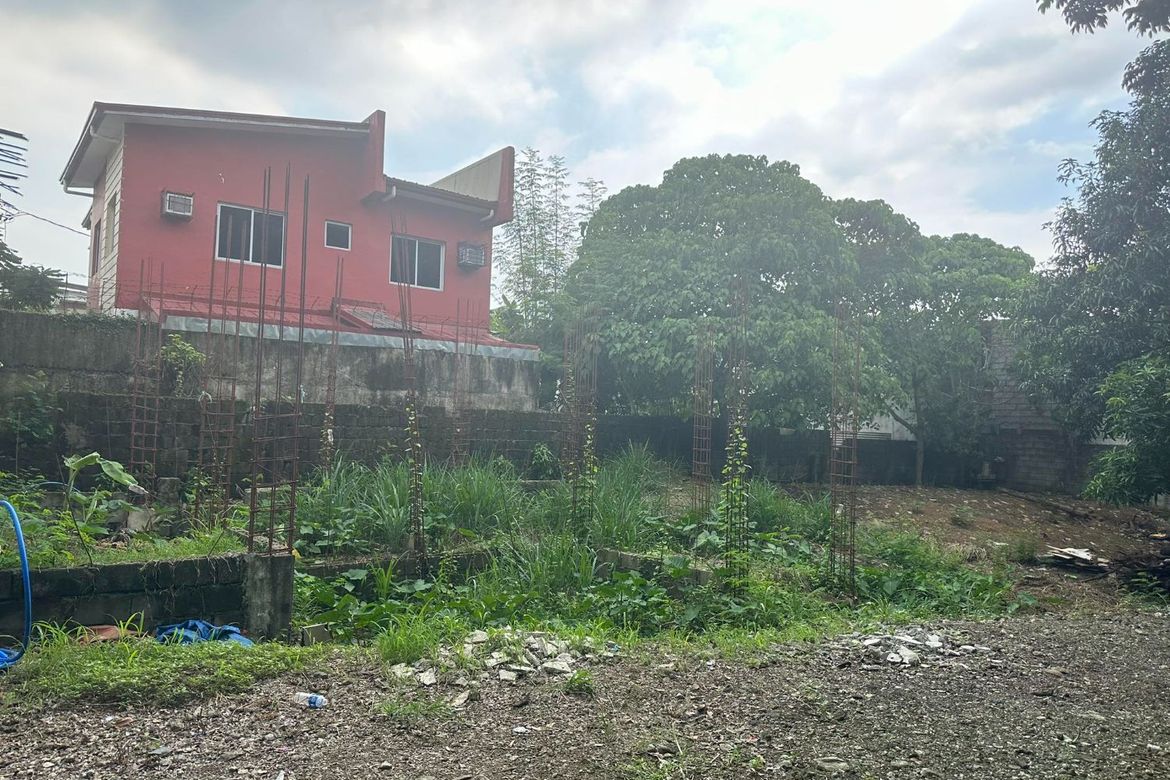 Land for Sale in San Juan, Taytay, Rizal – photo 3