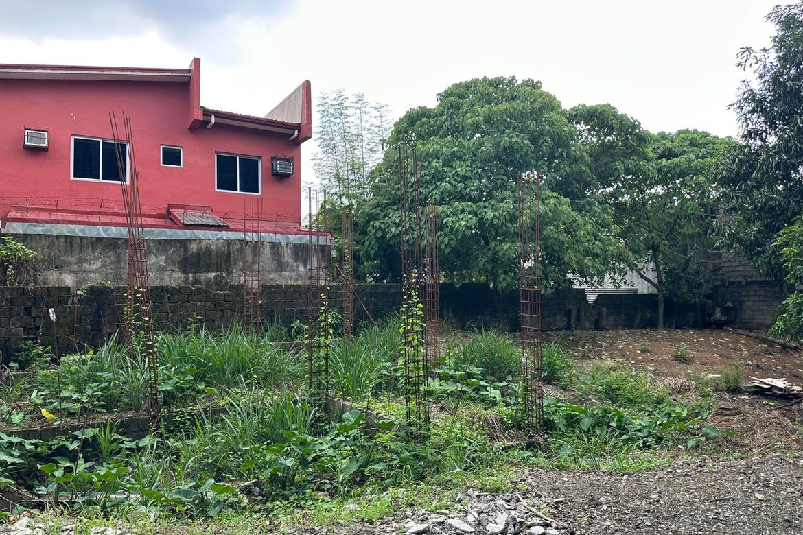 Land for Sale in San Juan, Taytay, Rizal – photo 4