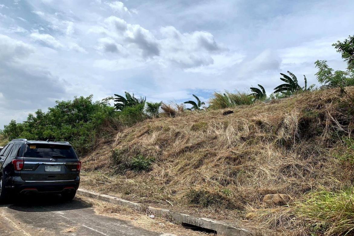 Land for Sale in San Juan, Taytay, Rizal – photo 2