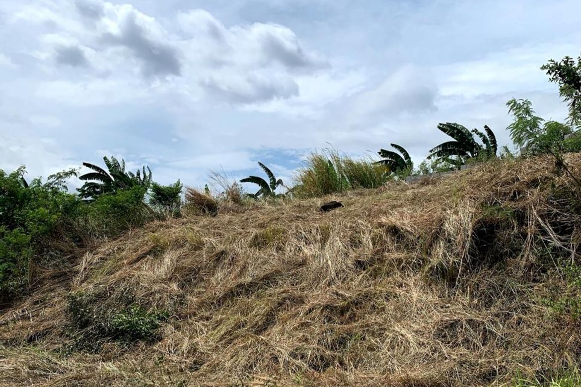 Land for Sale in San Juan, Taytay, Rizal – photo 3