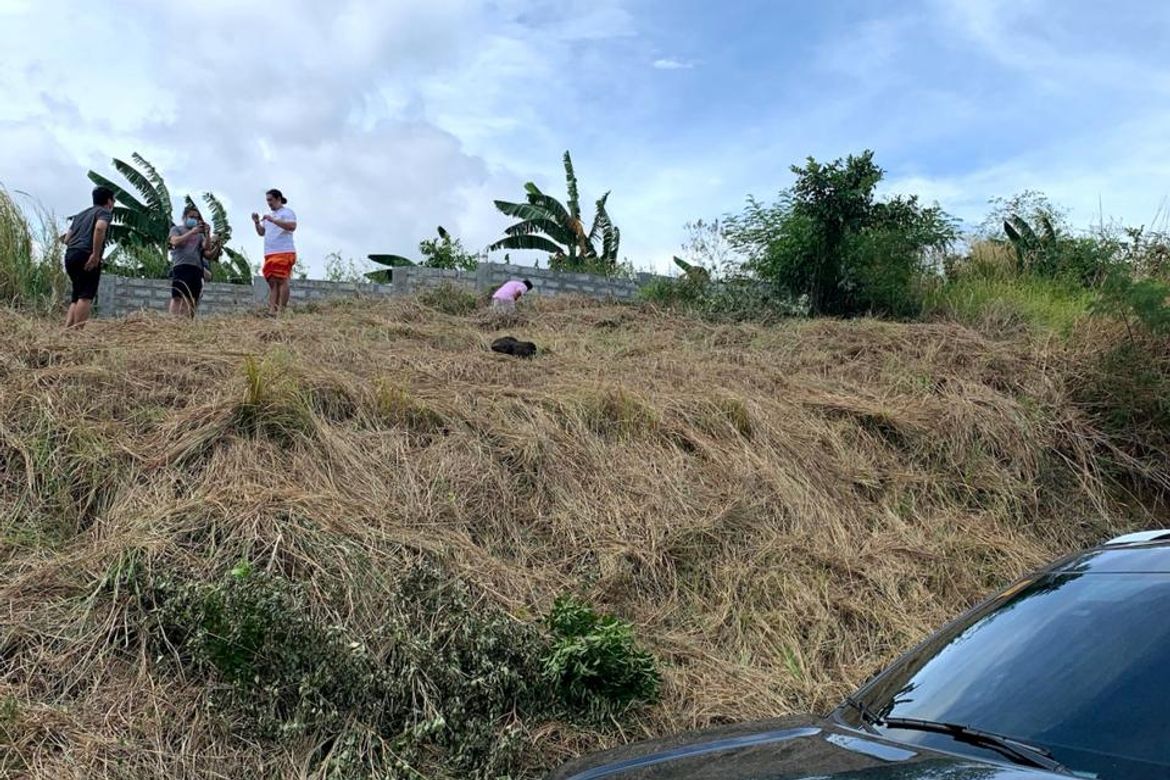 Land for Sale in San Juan, Taytay, Rizal – photo 4