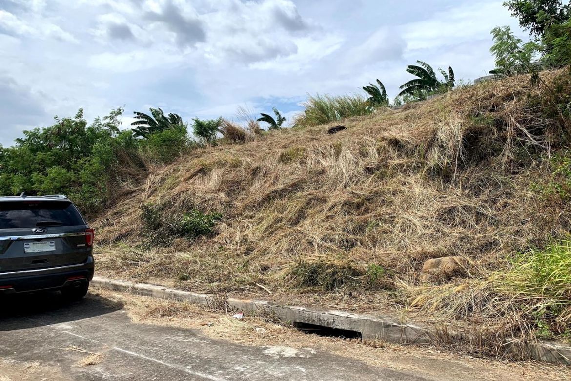 Land for Sale in San Juan, Taytay, Rizal – photo 5