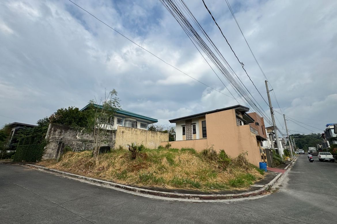 Land for Sale in San Juan, Taytay, Rizal – photo 4