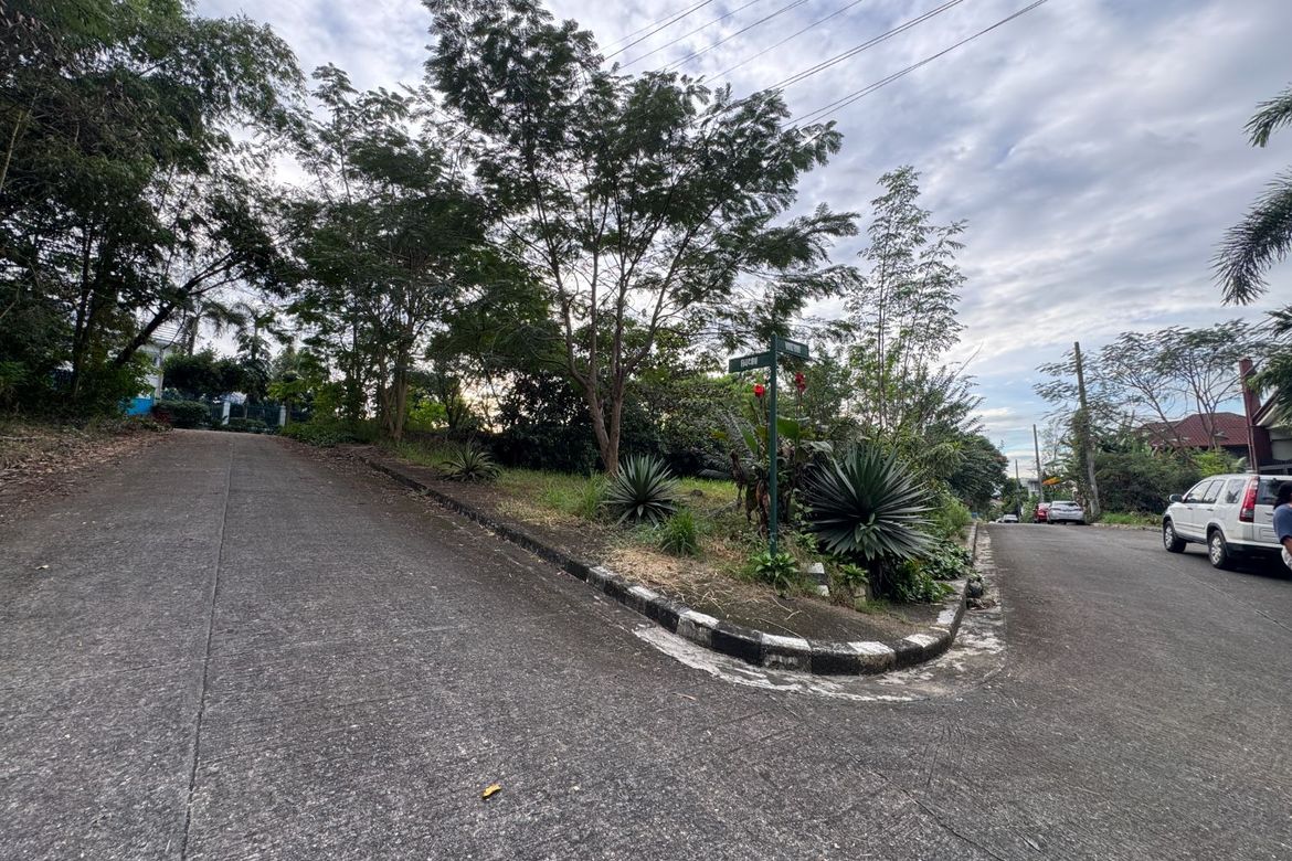 Land for Sale in San Juan, Taytay, Rizal – photo 4