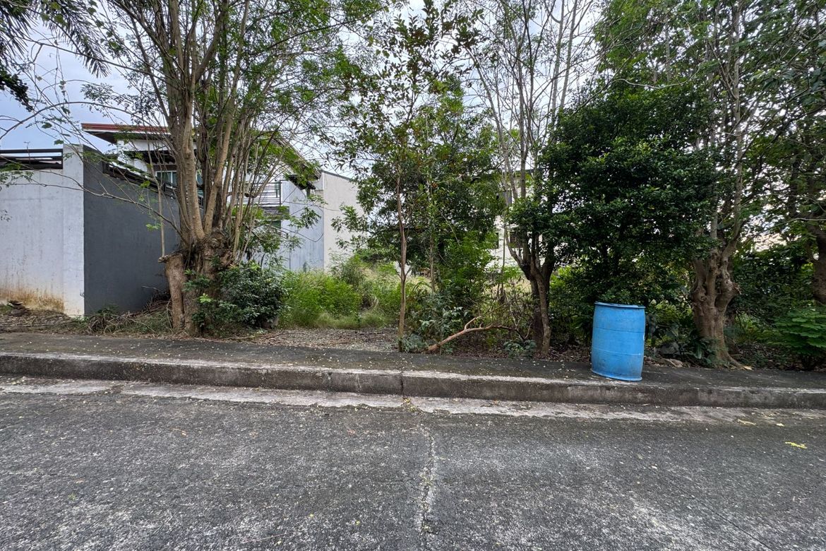 Land for Sale in San Juan, Taytay, Rizal