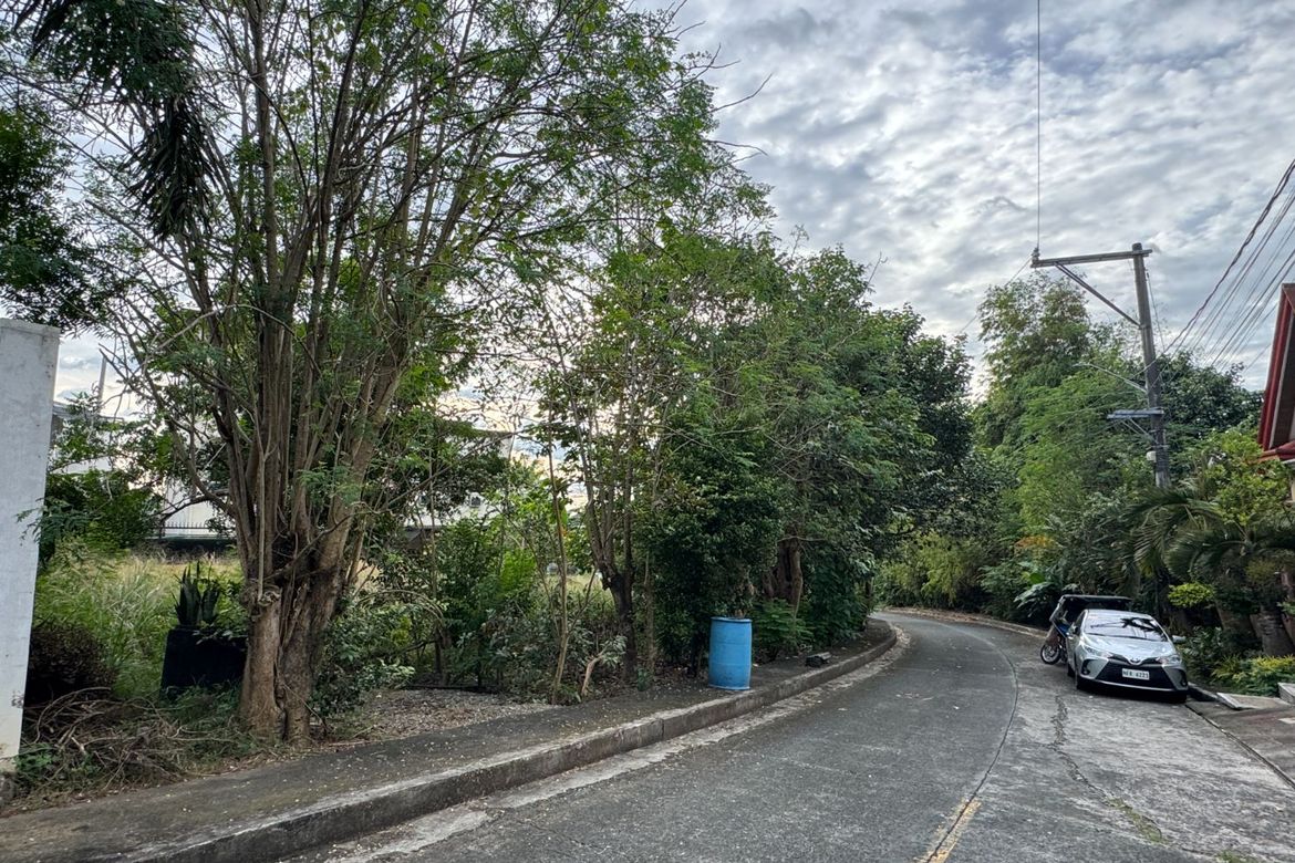 Land for Sale in San Juan, Taytay, Rizal – photo 3