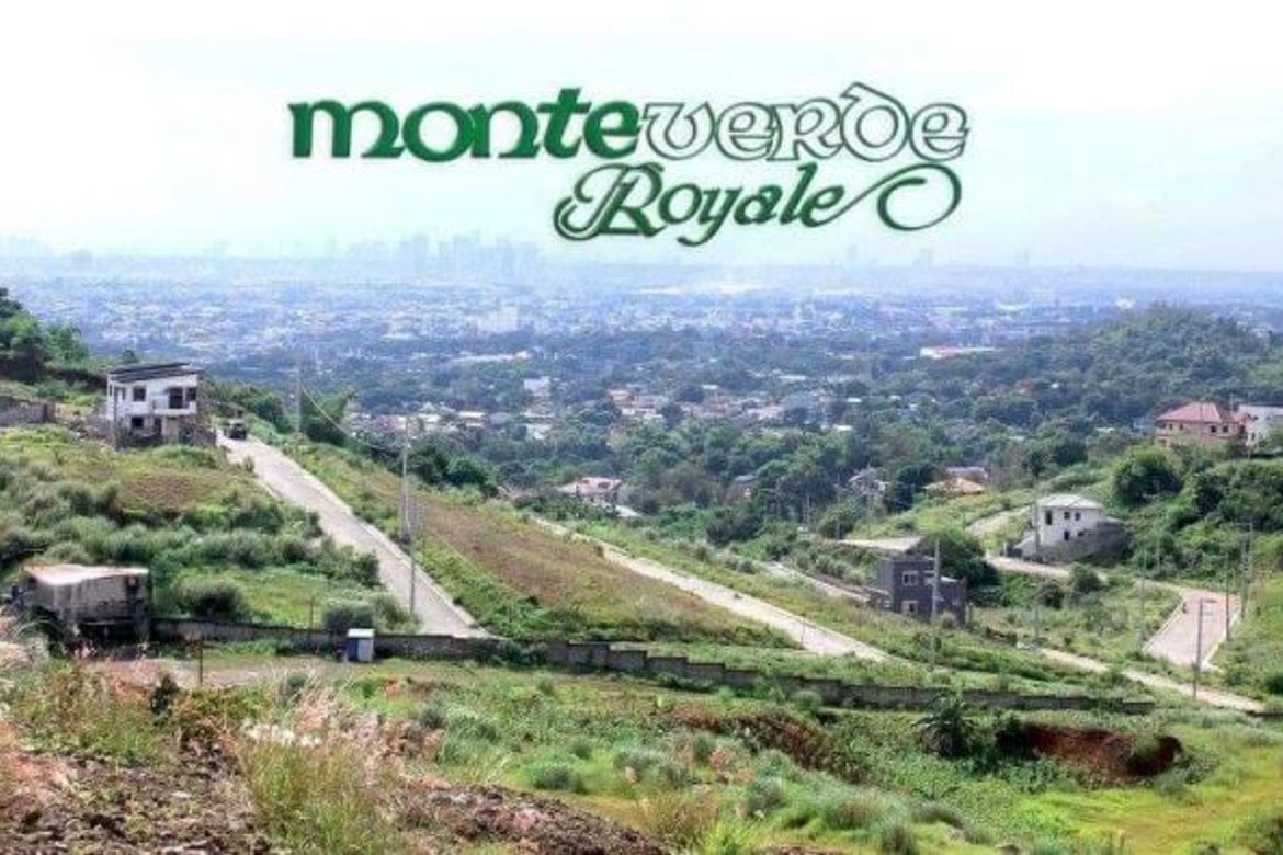 Land for Sale in San Juan, Taytay, Rizal – photo 2