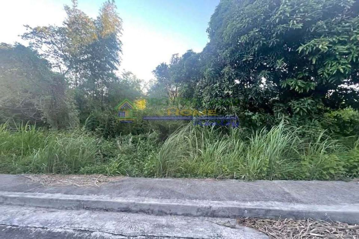 Land for Sale in San Juan, Taytay, Rizal – photo 3
