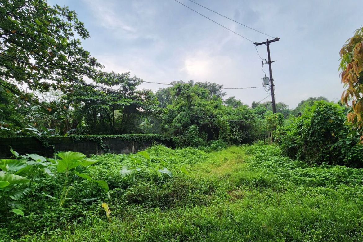 Land for Sale in San Juan, Taytay, Rizal – photo 2