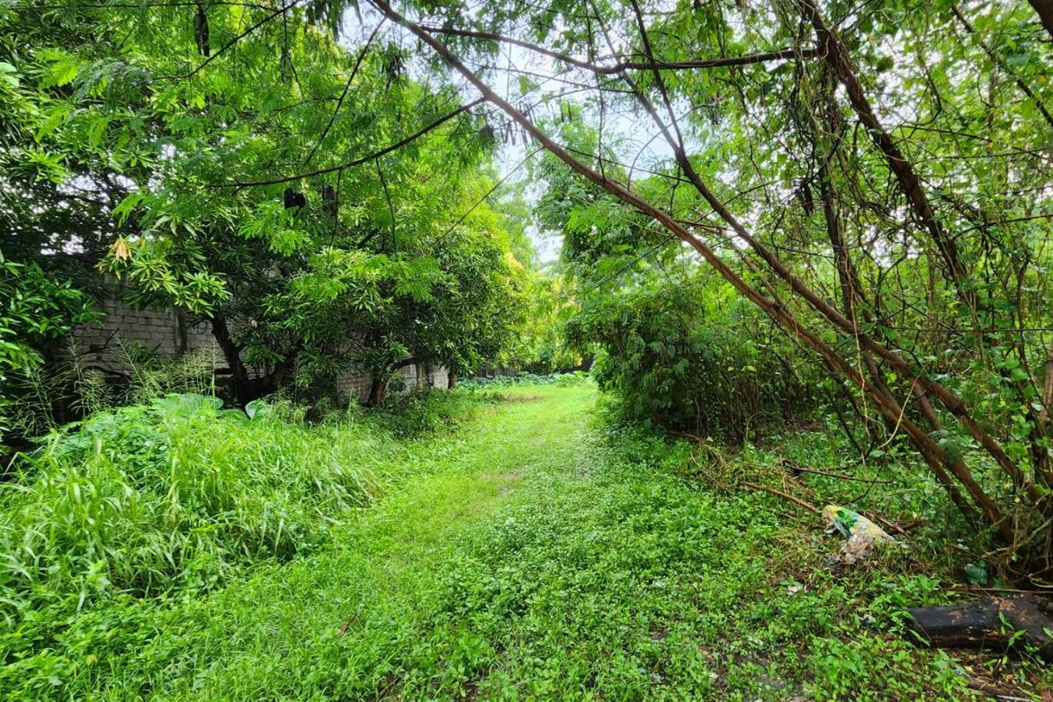 Land for Sale in San Juan, Taytay, Rizal – photo 3