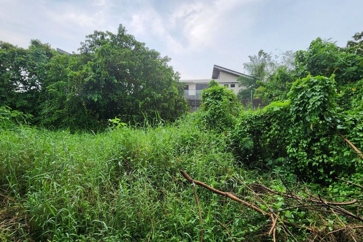 Land for Sale in San Juan, Taytay, Rizal – photo 5