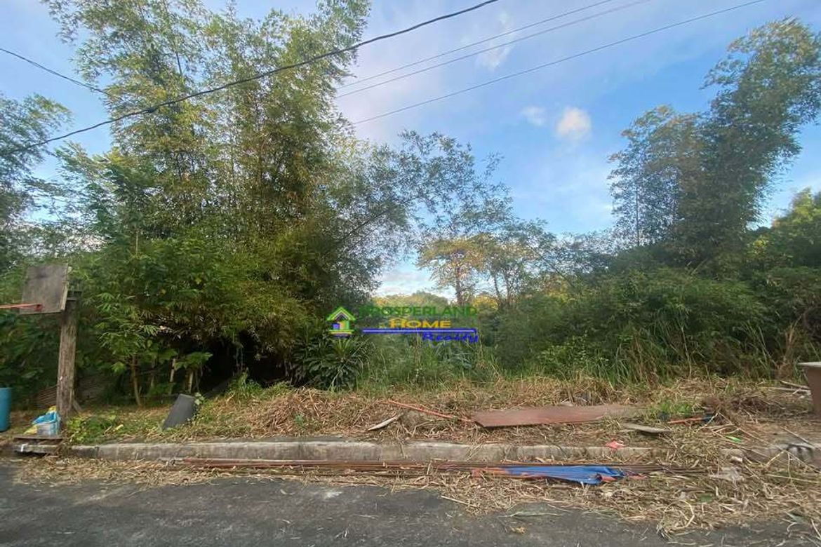 Land for Sale in San Juan, Taytay, Rizal