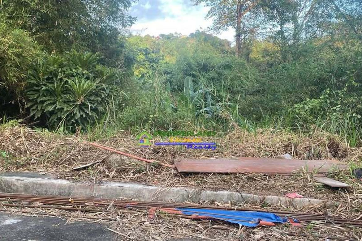 Land for Sale in San Juan, Taytay, Rizal – photo 2