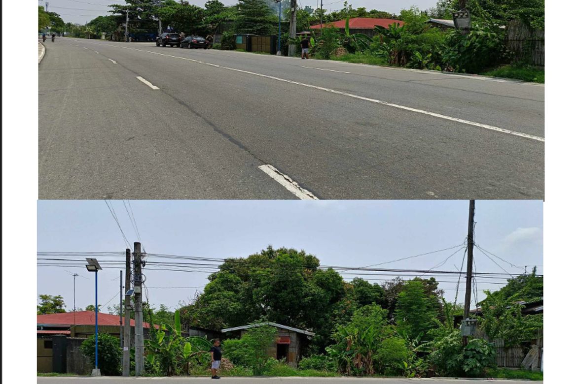 Land for Sale in San Julian, Malasiqui, Pangasinan