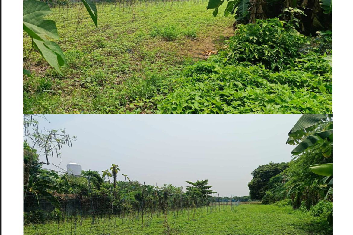 Land for Sale in San Julian, Malasiqui, Pangasinan – photo 3