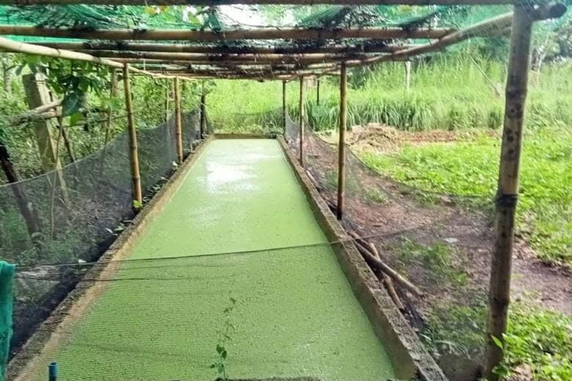 Land for Sale in San Lorenzo, Norzagaray, Bulacan – photo 2