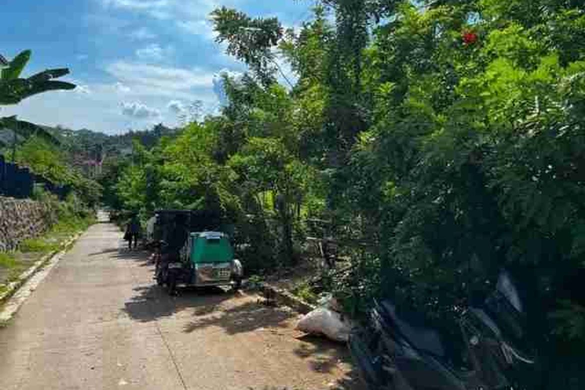 Land for Sale in San Lorenzo, Norzagaray, Bulacan – photo 3