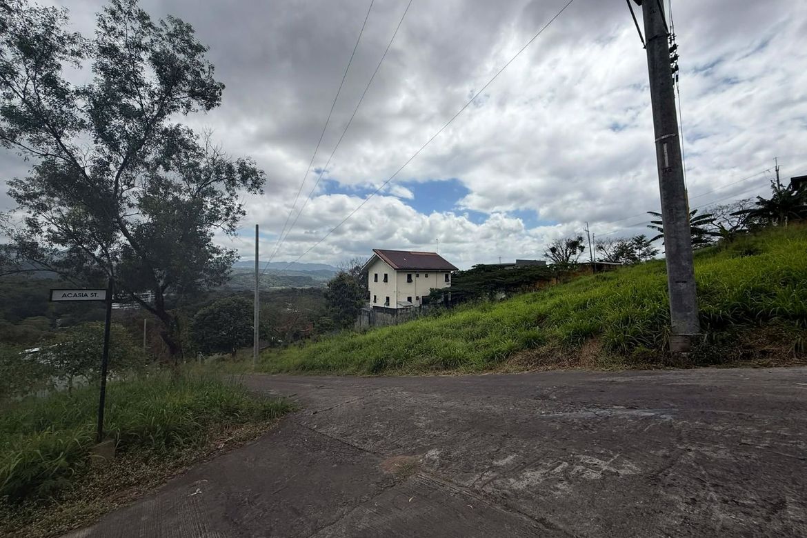 Land for Sale in San Luis, Antipolo, Rizal – photo 5