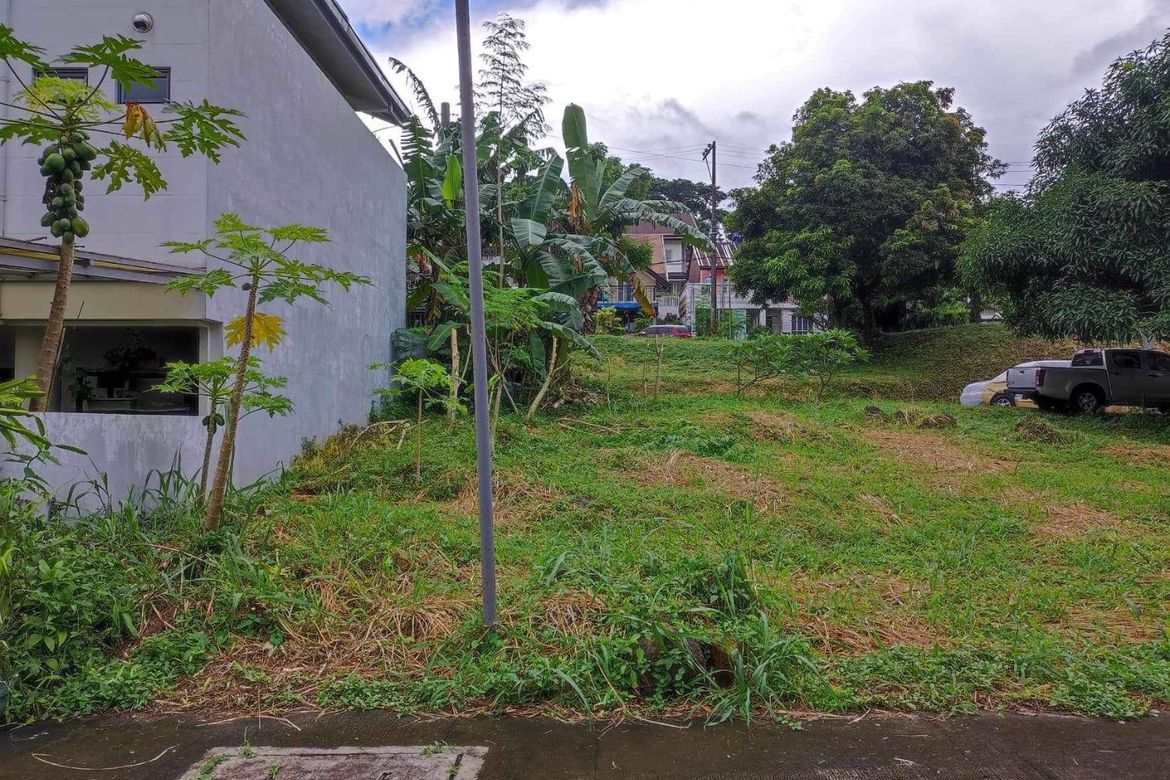 Land for Sale in San Luis, Antipolo, Rizal – photo 5