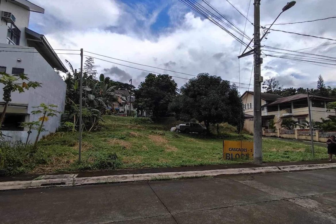 Land for Sale in San Luis, Antipolo, Rizal – photo 7