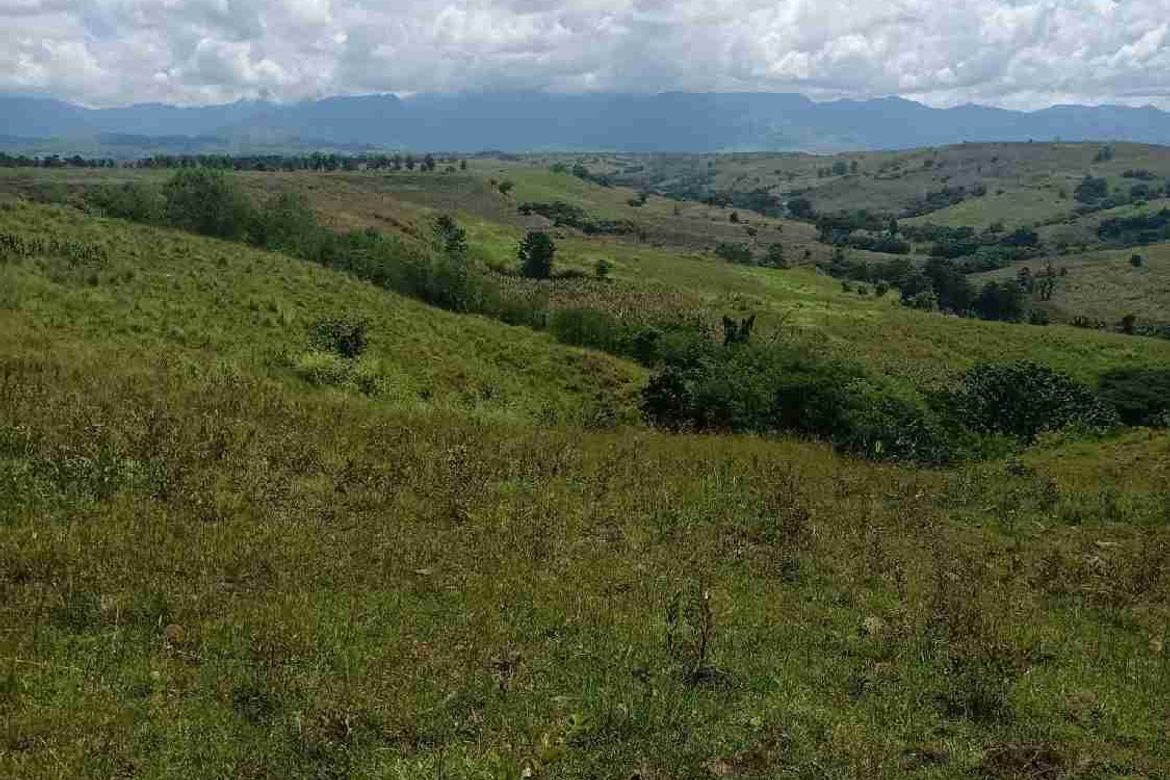 Land for Sale in San Luis, Cauayan, Isabela – photo 2