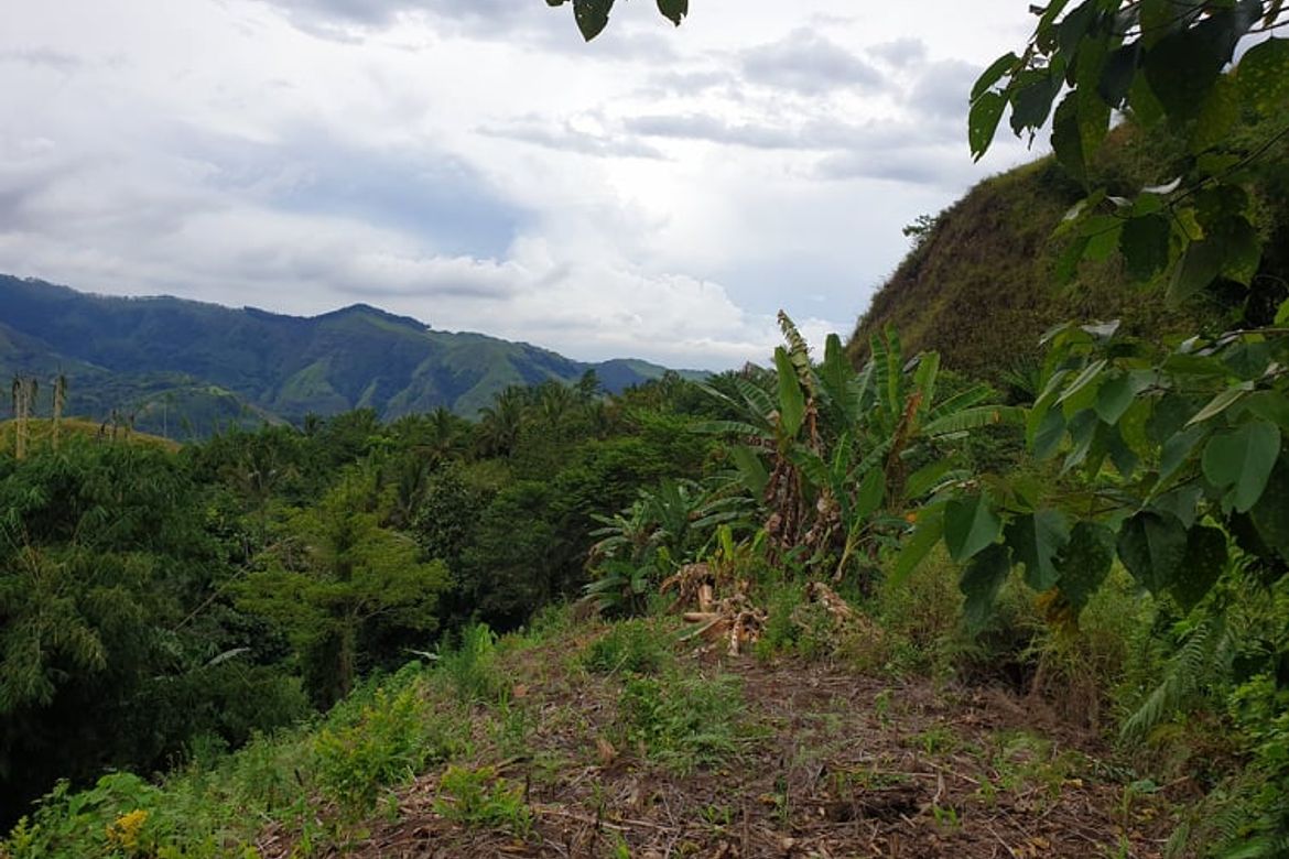 Land for Sale in San Luis, Malitbog, Bukidnon – photo 2