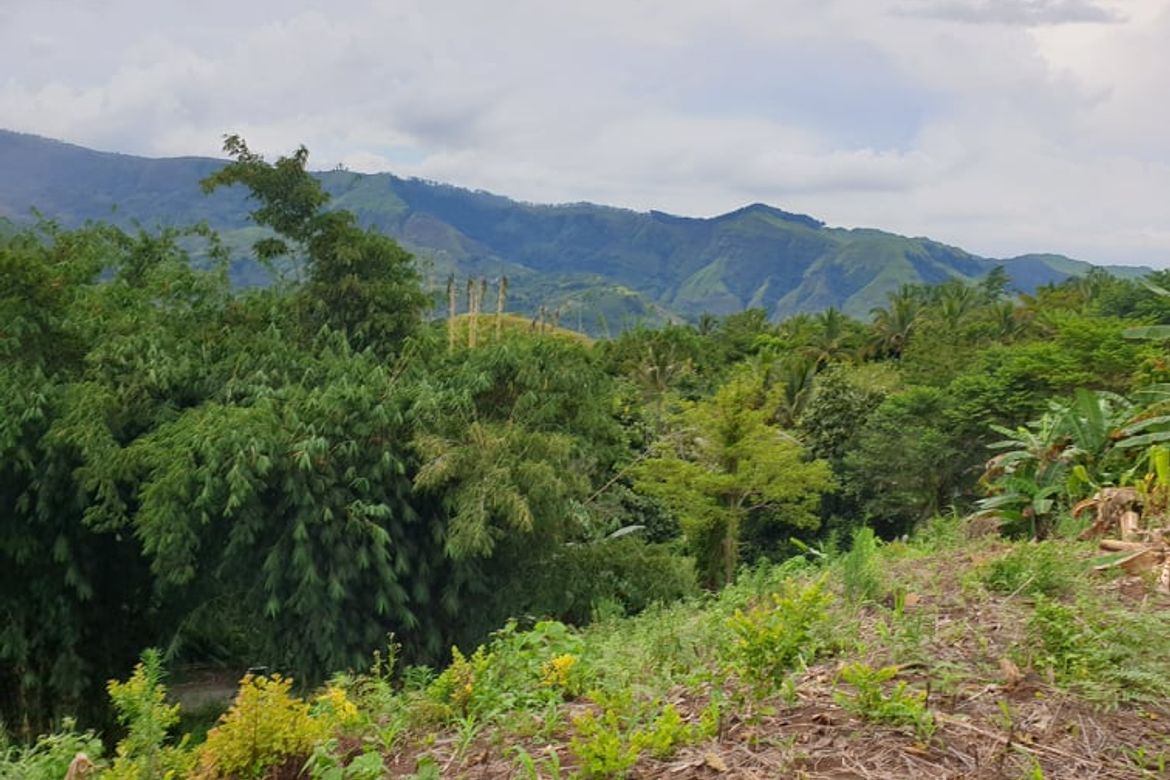 Land for Sale in San Luis, Malitbog, Bukidnon – photo 3