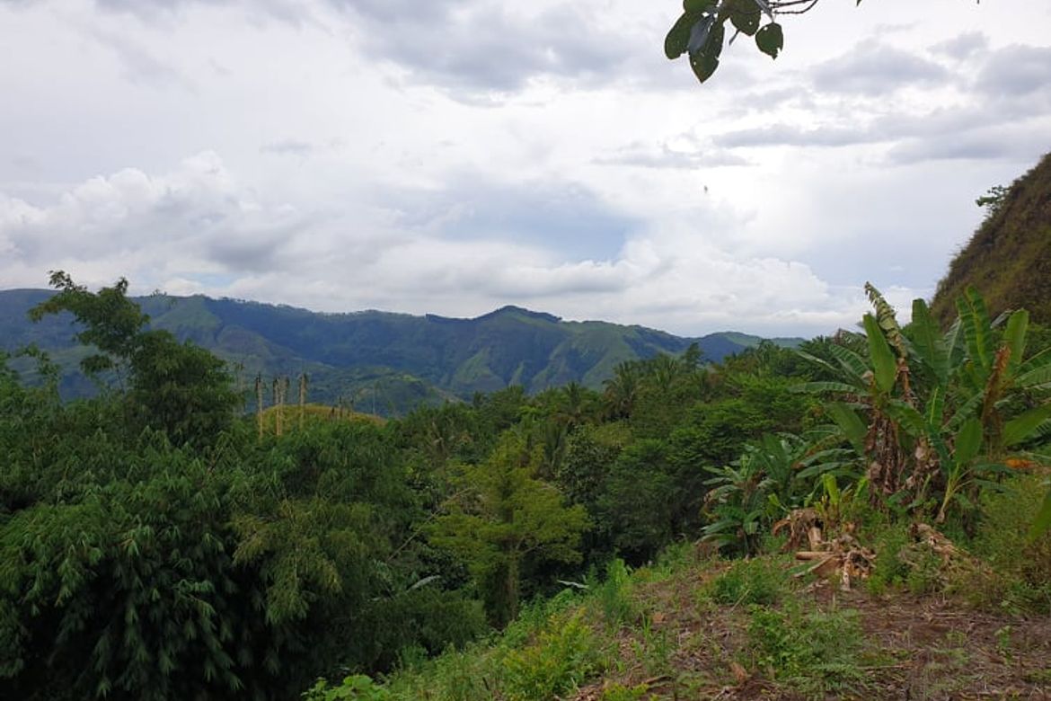 Land for Sale in San Luis, Malitbog, Bukidnon – photo 4