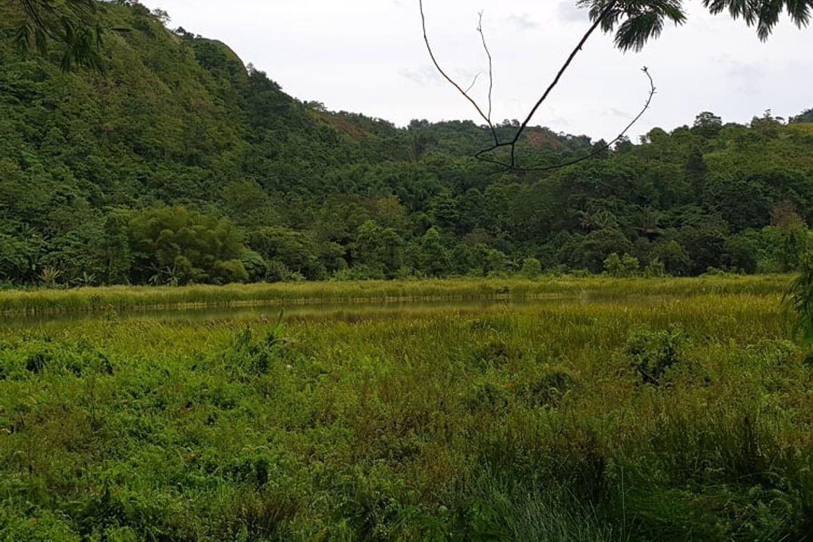 Land for Sale in San Luis, Malitbog, Bukidnon – photo 6