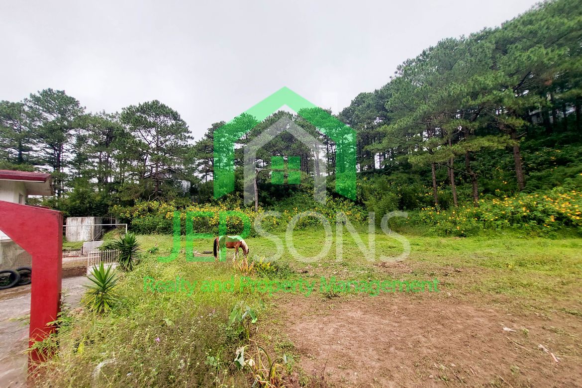 Land for Sale in San Luis Village, Baguio, Benguet