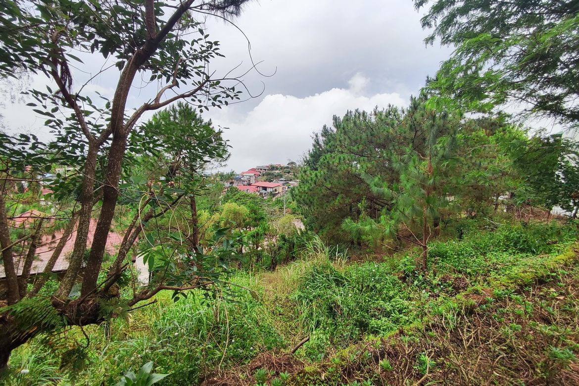 Land for Sale in San Luis Village, Baguio, Benguet – photo 4