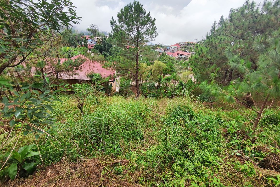 Land for Sale in San Luis Village, Baguio, Benguet – photo 5