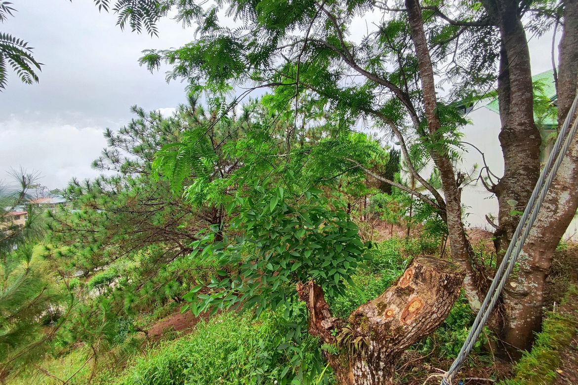 Land for Sale in San Luis Village, Baguio, Benguet – photo 6