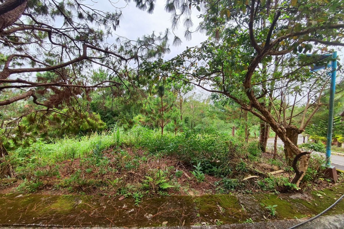 Land for Sale in San Luis Village, Baguio, Benguet – photo 7