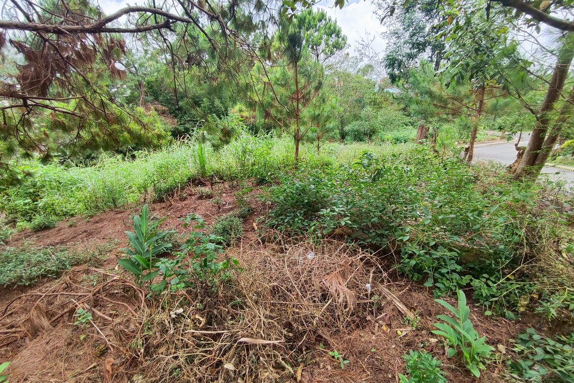 Land for Sale in San Luis Village, Baguio, Benguet – photo 8